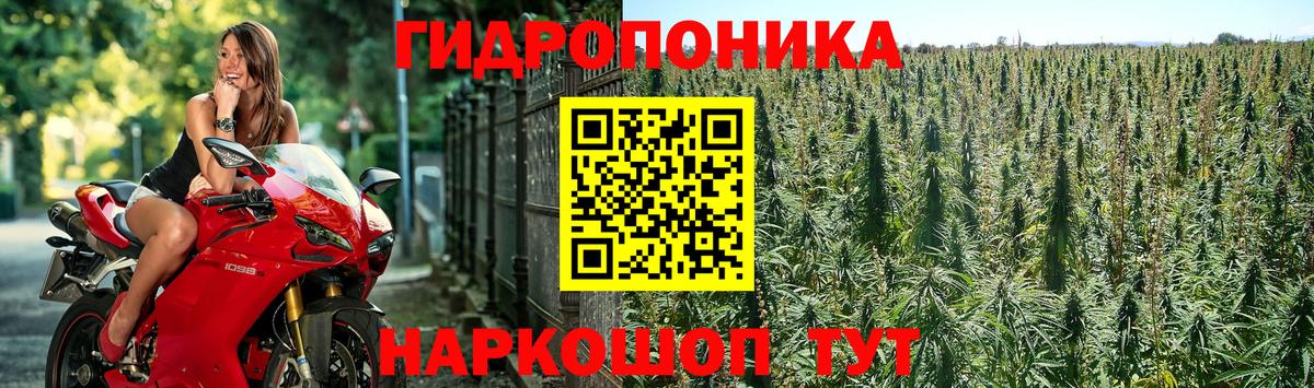 Бошки Шишки SATIVA & INDICA Ливны